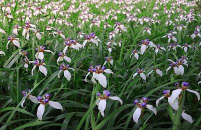 《命运2》发布会8月24日举办 或将公布新资料片